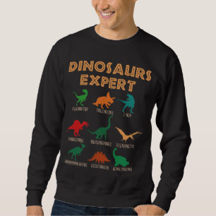 Moletom Dinossauros Especialistas Meninas Dino T-rex Espin