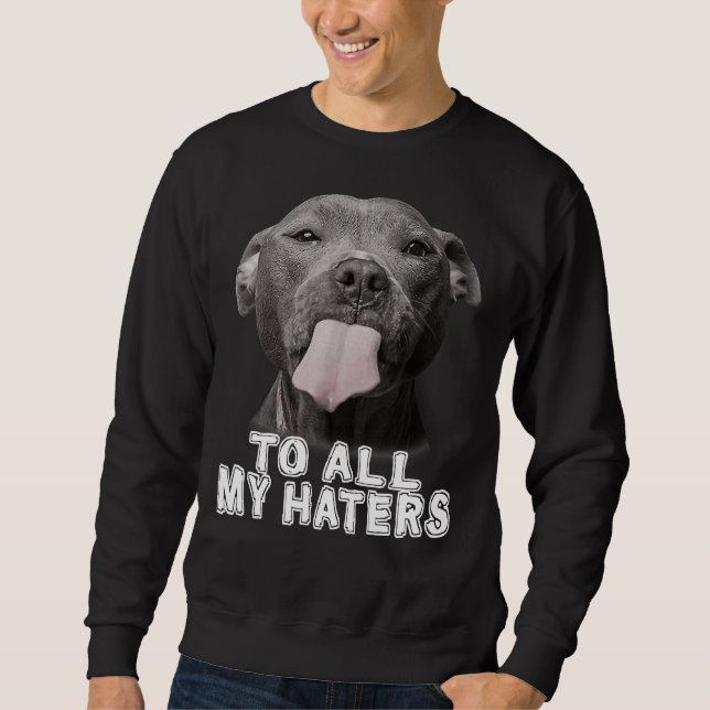 Moletom Engraçada Pitbull Para Todos Os Meus Odiadores Cac (Frente)