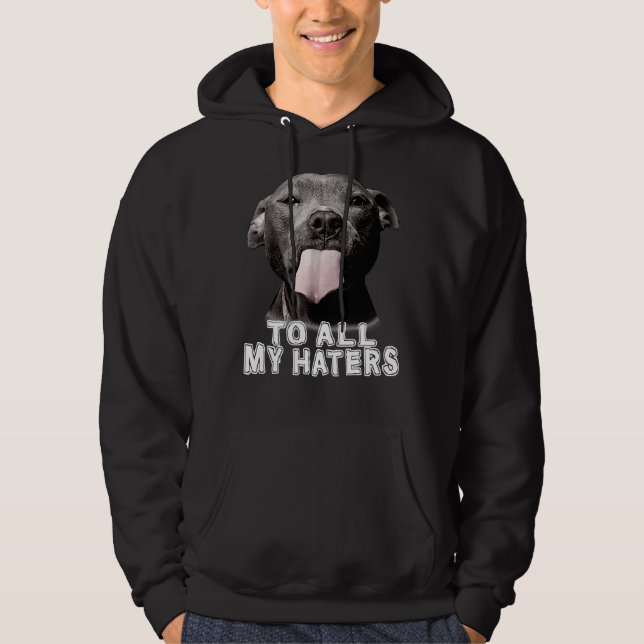 Moletom Engraçada Pitbull Para Todos Os Meus Odiadores Cac (Frente)