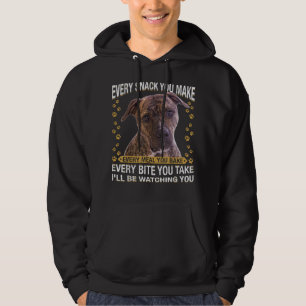 Moletom Engraçado, não julgue o meu Pitbull e eu não te ju
