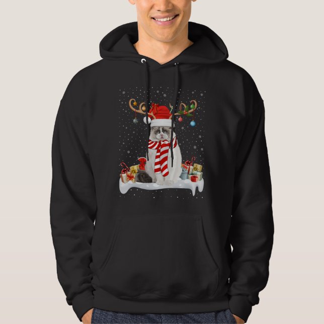 Moletom Engraçado Xmas Lighting Reindeer Santa Hat Ragdoll (Frente)