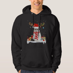Moletom Engraçado Xmas Lighting Reindeer Santa Hat Ragdoll
