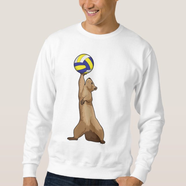 Moletom Esquilo com voleibol (Frente)