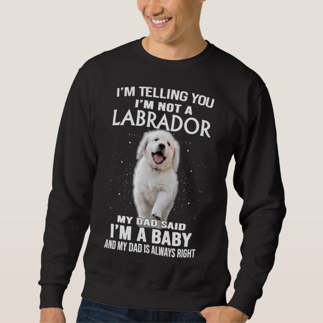 Moletom Estou Dizendo Que Não Sou Um Cão Labrador (Frente)