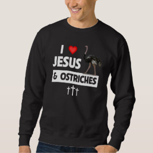 Moletom Eu Amo Jesus E Avestruzes Cristão Zoológico Animal
