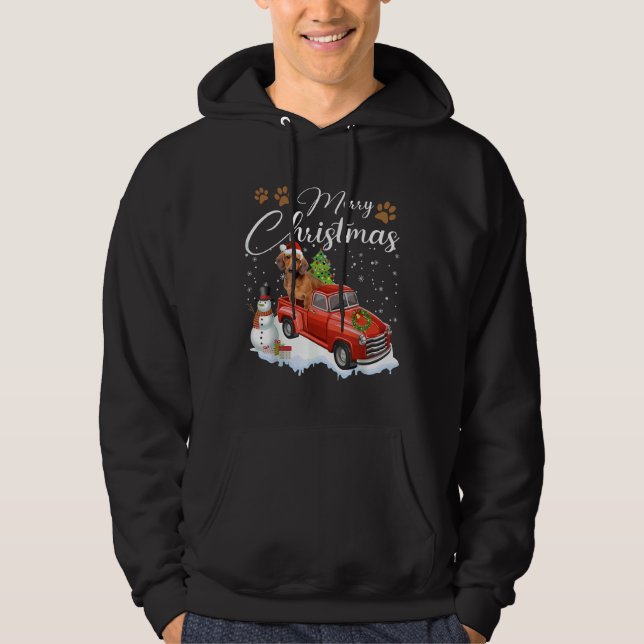 Moletom Feliz Natal Dachshund Cão de Natal (Frente)
