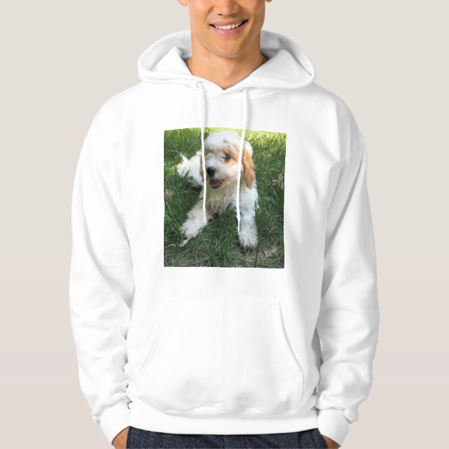 Moletom Foto de Cavachon Personalizada, Cachorro (Frente)