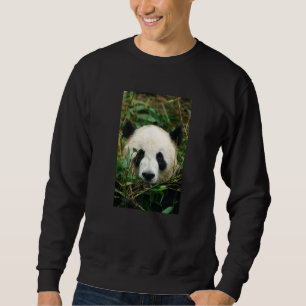 Moletom Foto de Urso Panda