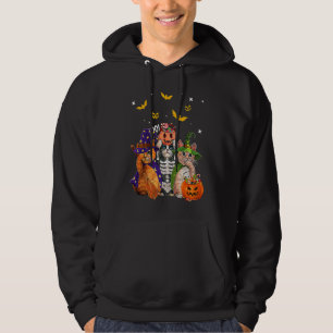 Moletom Gato Bruxa Assustadora Pumpkin Bat Skeleton Magica
