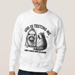 Moletom Gato oficial de destruição do ornamento no Natal