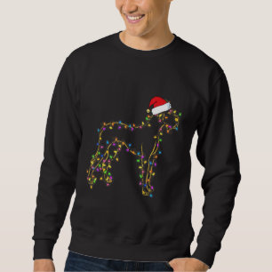 Moletom Grande Dane Cachorro Xmas iluminando Santa Hera Gr