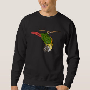 Moletom Green Cheek Conure Parrot Bird Conure