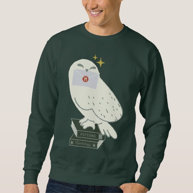 Moletom Hedwig Com Desenho Caprichoso De Carta (Frente)