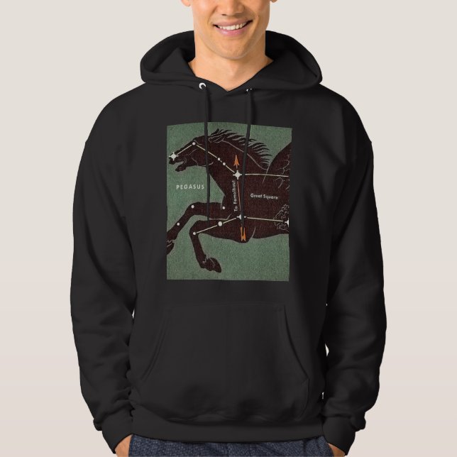 Moletom Hoodie (Frente)