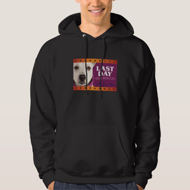 Moletom Hoodie do preto da cor completa! (Frente)