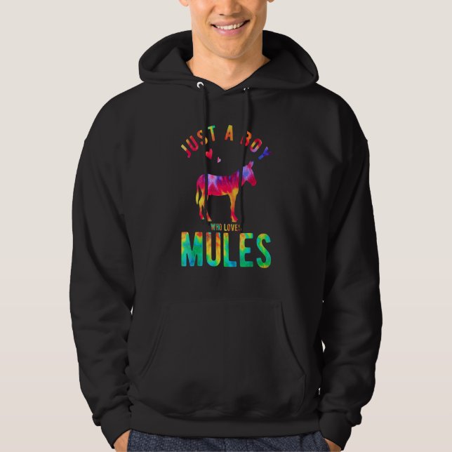 Moletom Just A Boy Who Loves Mules Mule Lover Funny Mule (Frente)