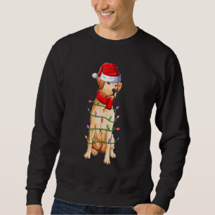 Moletom Labrador Dog Santa Claus Roupa Natal Boys Gi