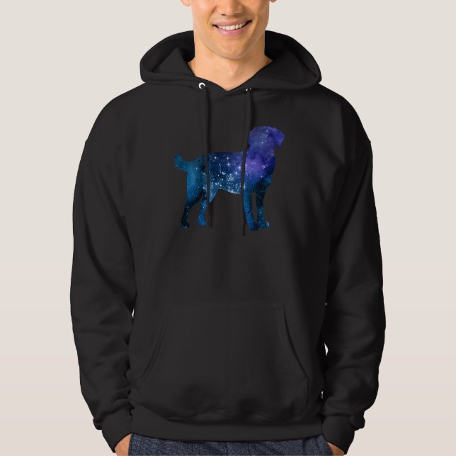 Moletom Labrador Retriever 92 (Frente)