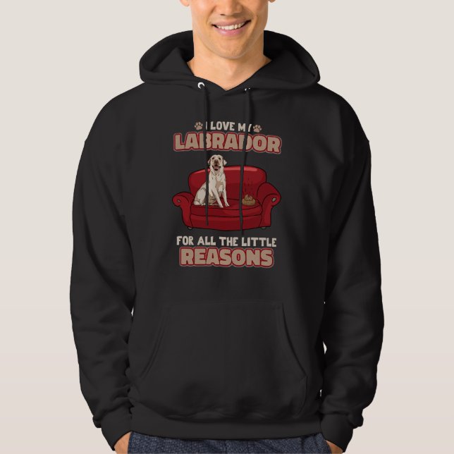 Moletom Labrador Retriever Puppy Dog (Frente)