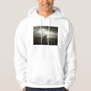 Moletom Ladrão 2013 da tulipa