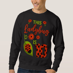 Moletom Ladybug Birthday Esta Ladybug Tem 10 Anos