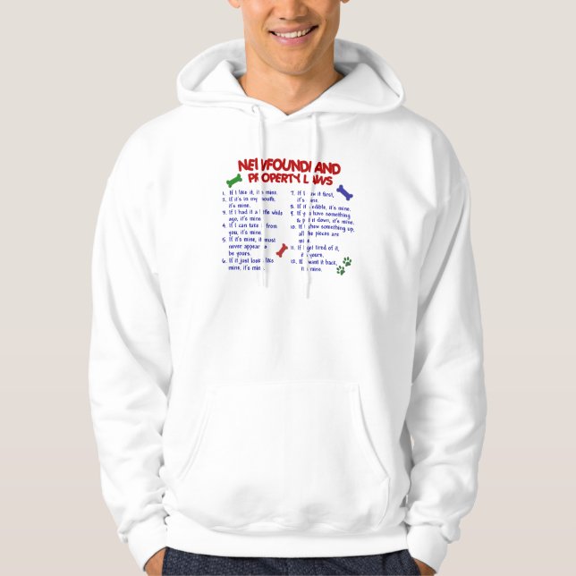 Moletom Leis 2 da propriedade de TERRA NOVA (Frente)