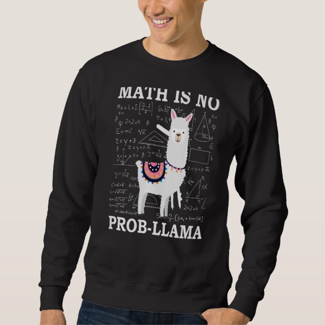 Moletom Matemática Não É Professor De Llama Alpaca (Frente)