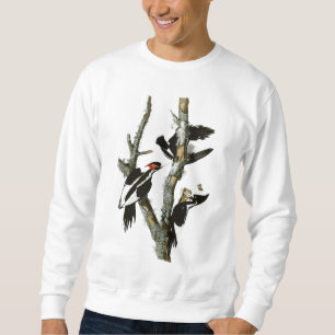 Moletom O pica-pau Marfim-faturado de Audubon
