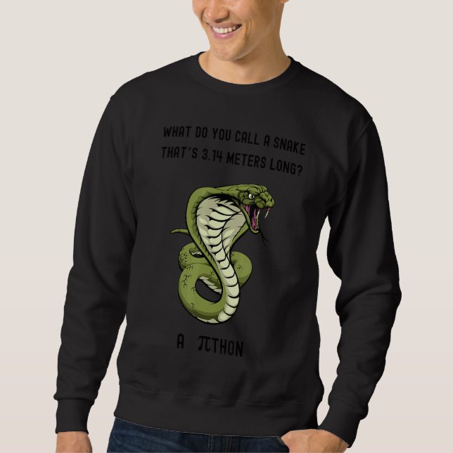 Moletom O Que Você Chama De Cobra Thatu2019s 3 14 Metros (Frente)