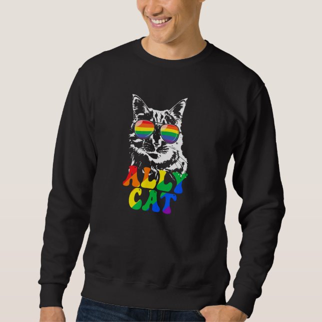Moletom Óculos de Sol Arco-íris de Gato Aliado Retro LGBT  (Frente)