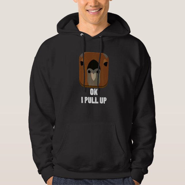 Moletom Ok Eu Chego Capivara (Frente)