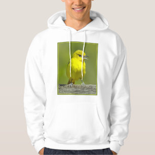 Moletom Orchard Oriole - Fotografia original