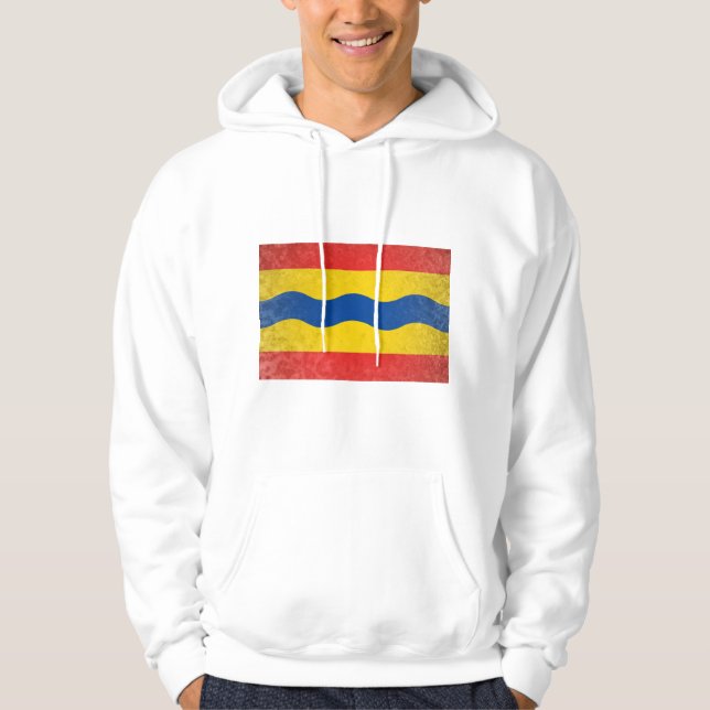 Moletom Overijssel (Frente)
