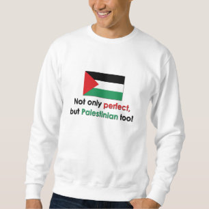 Moletom Palestino perfeito
