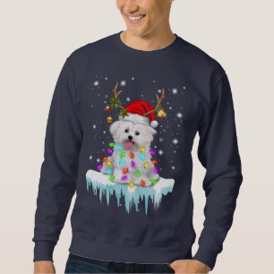 Moletom Pão Cão Fada De Natal De Malta No Inverno
