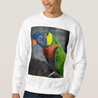 Moletom Paraíso Colorido Camisa-T