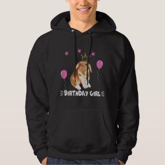 Moletom Pequena Princesa Coelhinha de Aniversário Fofa Gi
