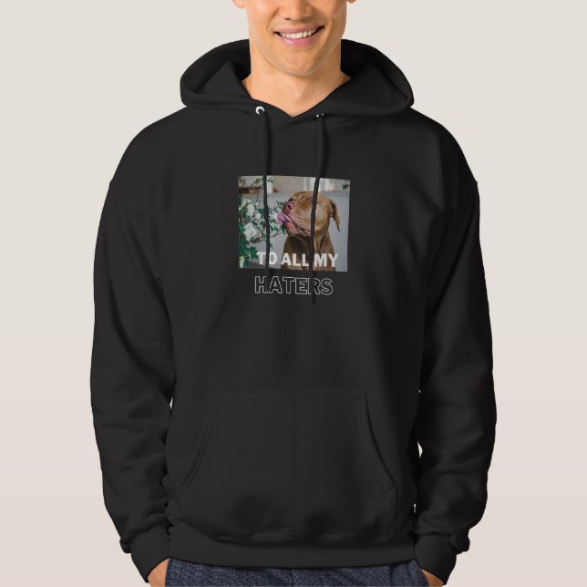 Moletom Pitbull Para Todos Os Meus Odiadores (Frente)