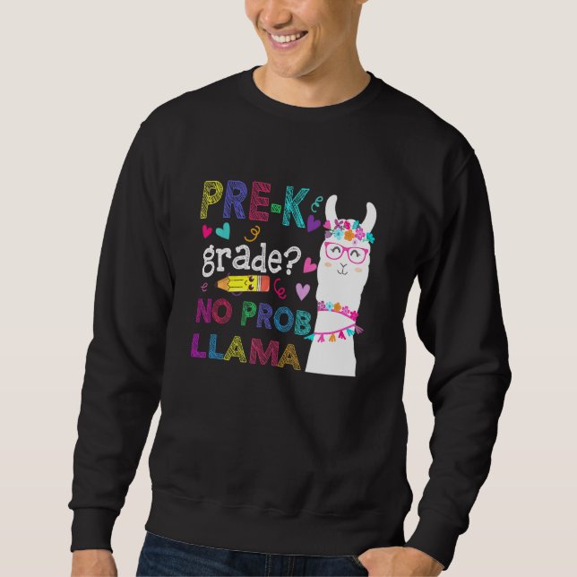 Moletom Pré-K Sem Professor Prob-Llama Estudante Primeiro  (Frente)