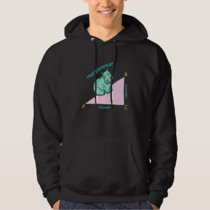 Moletom Professor de matemática matemático hipotenusa