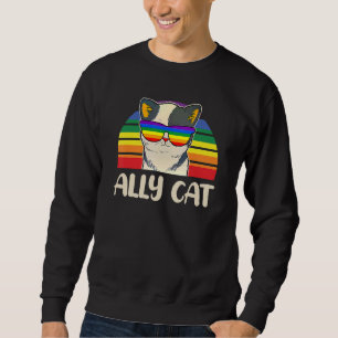 Moletom Rainbow Lgbt Gay Lésbica Trans Pride Ally Cat Glas