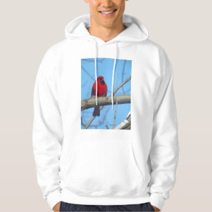 Moletom Red Cardinal/Bird