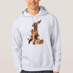 Moletom Redbone Coonhound & Basset Hound Reproduzindo