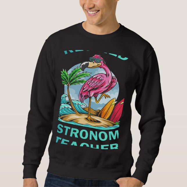 Moletom Retired Astronomy Teacher Flamingo (Frente)