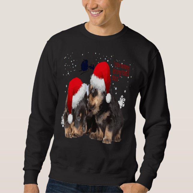 Moletom Rottie White Christmas com Papai Noel Sleigh (Frente)
