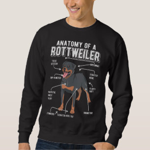 Moletom Rottweiler Anatomia Cão Engraçado