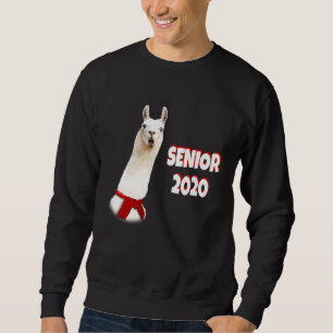 Moletom SÊNIOR 2020 Llama Senior