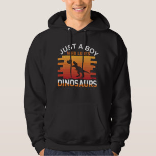 Moletom Só um menino que ama dinossauro   Dinossauro Desi