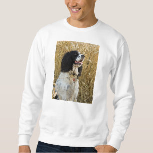 Moletom spaniel de springer inglês em wheat.png