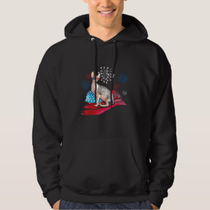 Moletom Sphynx Cat American Flag Roupa 4 De Julho